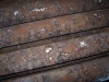 Pitting corrosion on waterside of boiler tubes